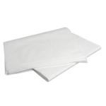 Lencol Descartavel Sem Elastico Gr30 2,00 X 0,90 10 Unidades Fort Clean - Foto 1