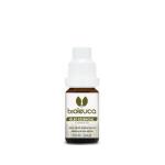 Oleo Essencial 100% Melaleuca Got 10ml Bioleuca - Foto 1