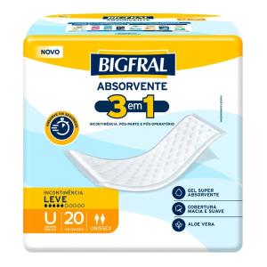 Absorvente Bigfral Plus Regular 20 Unidades   20461-0