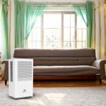 Desumidificador De Ar Digital Pure Ion Max 2l/Dia Bivolt Relaxmedic - Foto 3