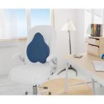 Almofada Theraactive Theramart Para Costas E Lombar - Foto 1