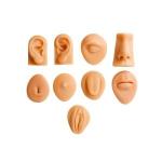 Kit Com 9 Modelos Anatomicos Ortho Pauher - Foto 1