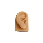 Kit Com 9 Modelos Anatomicos Ortho Pauher - Foto 2