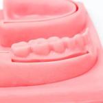 Simulador De Sutura 3d Dental/Oral Para Treino Ortho Pauher - Foto 3