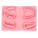 Simulador De Sutura 3d Dental/Oral Para Treino Ortho Pauher - Foto 1