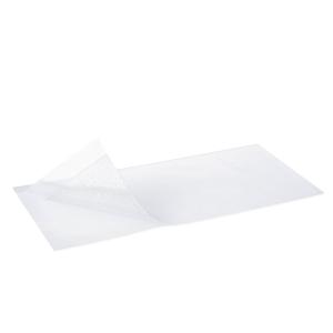 Curativo Atrauman Silicone Camada De Contato N�o Aderente 10X20CM 