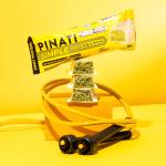 Barra De Prote�na Simple Whey 35g Pinati - Foto 1