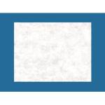 Campo Cirurgico Esteril Nao Fenestrado 40x40cm Best Fabril - Foto 1