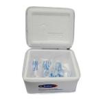 Bolsa T�rmica Para Transporte De Insulina Embaeps - Foto 2